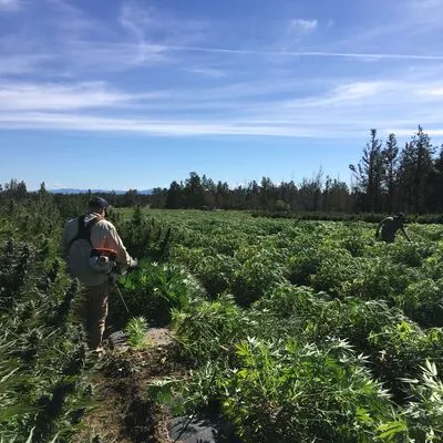 Brooker Farms, Bend, OR